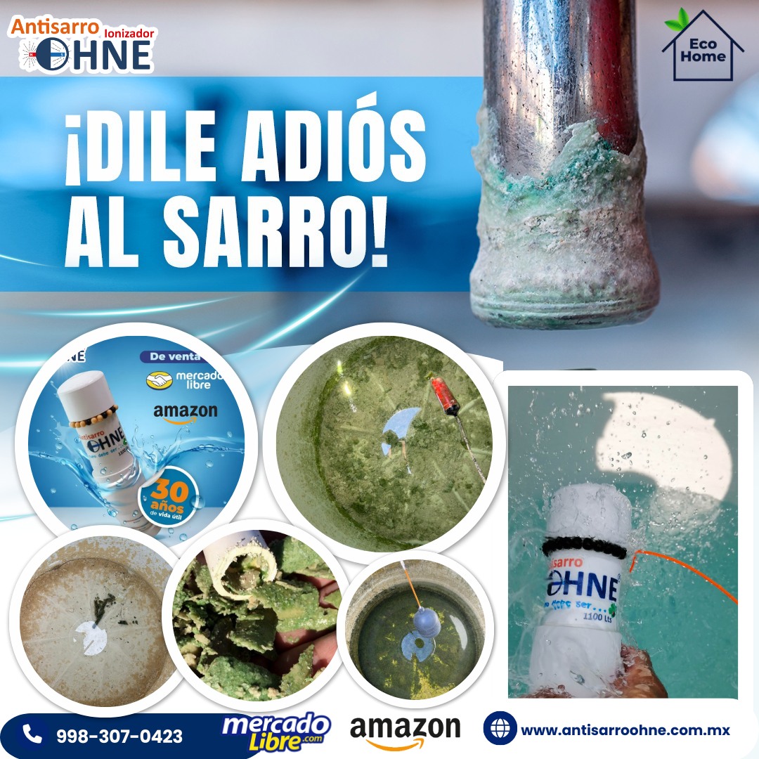 Ohne - El 𝐒𝐀𝐑𝐑𝐎 se almacena en la cisterna y tinacos por la alta ...