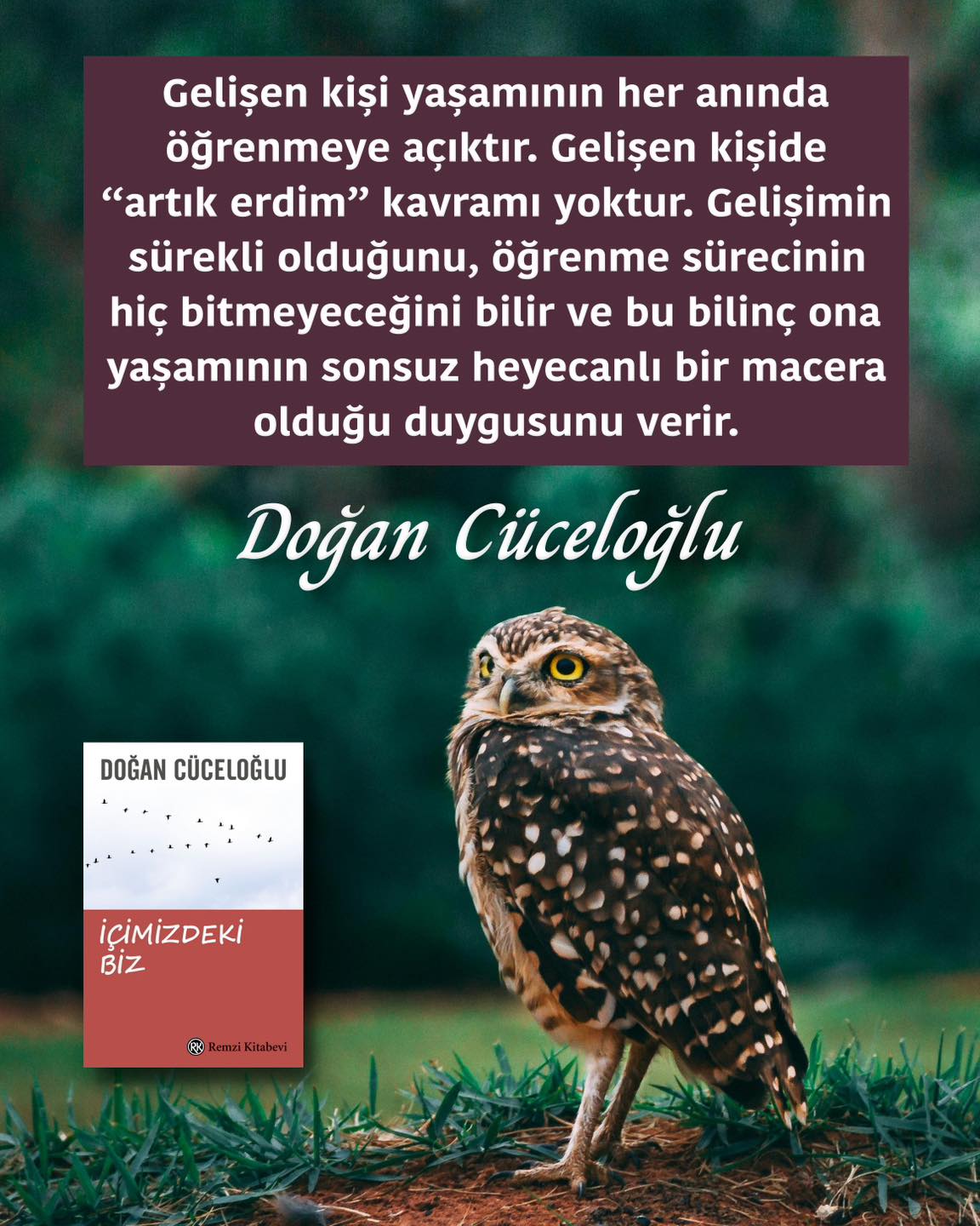 Süreğen Kavramının Gizli Anlamları ve Uzman İpuçları [2026] - Kapak Görseli