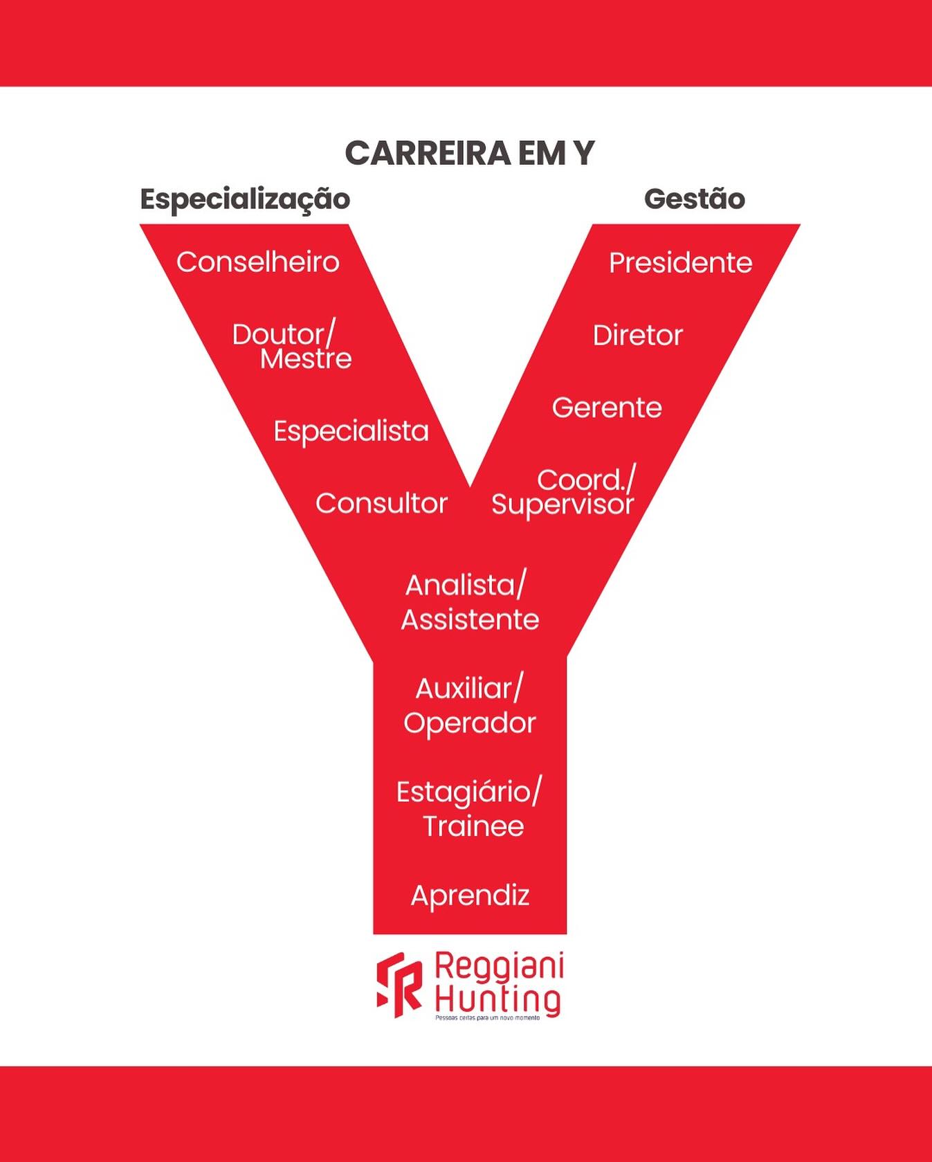 Reggiani - 🎯 Você conhece o conceito de carreira em Y? No passado, o ...