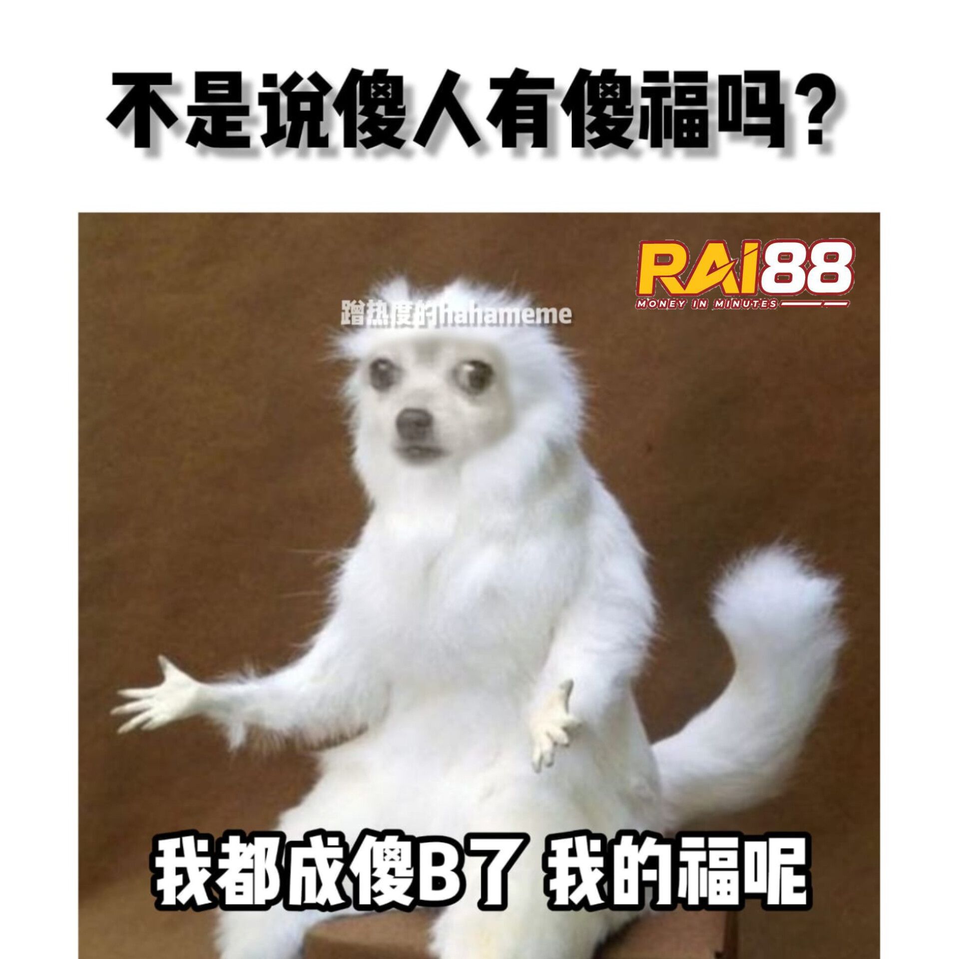 蹭热度的hahameme - 傻人有傻福 | Facebook