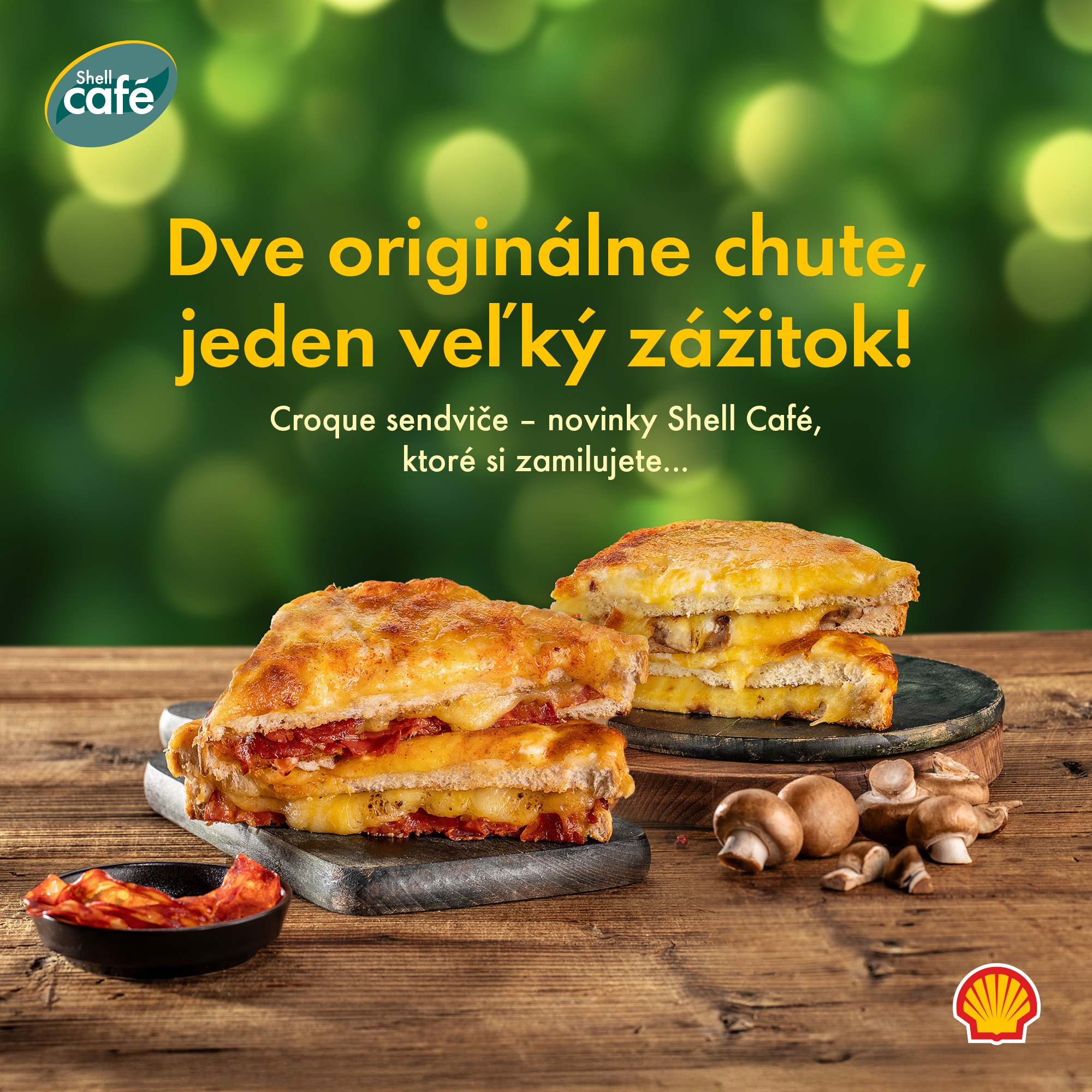 SHELL Martin Jilemnického... - SHELL Martin Jilemnického