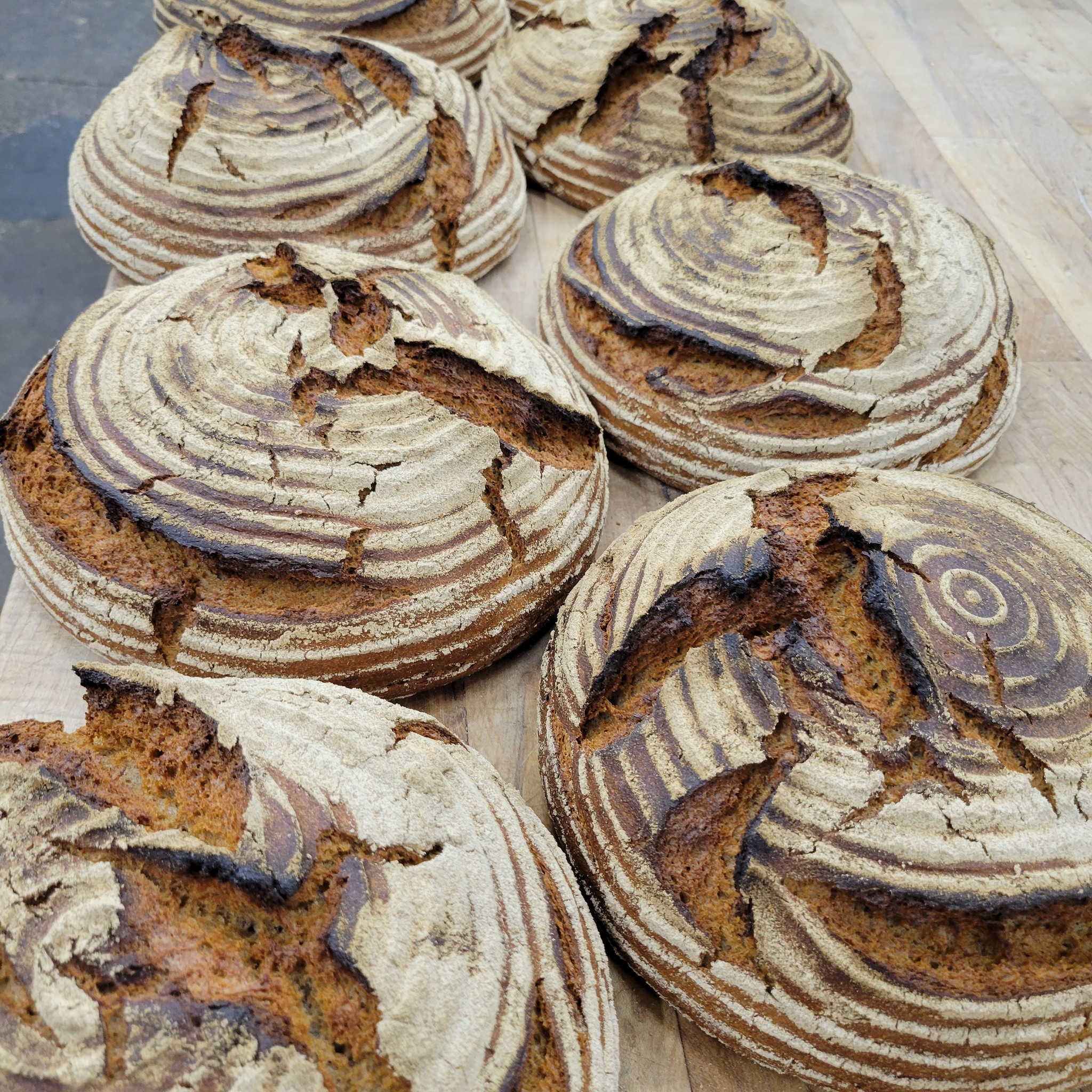 Clasen's - Gerolstein Rye Classic dark German rye, with a thick crust ...