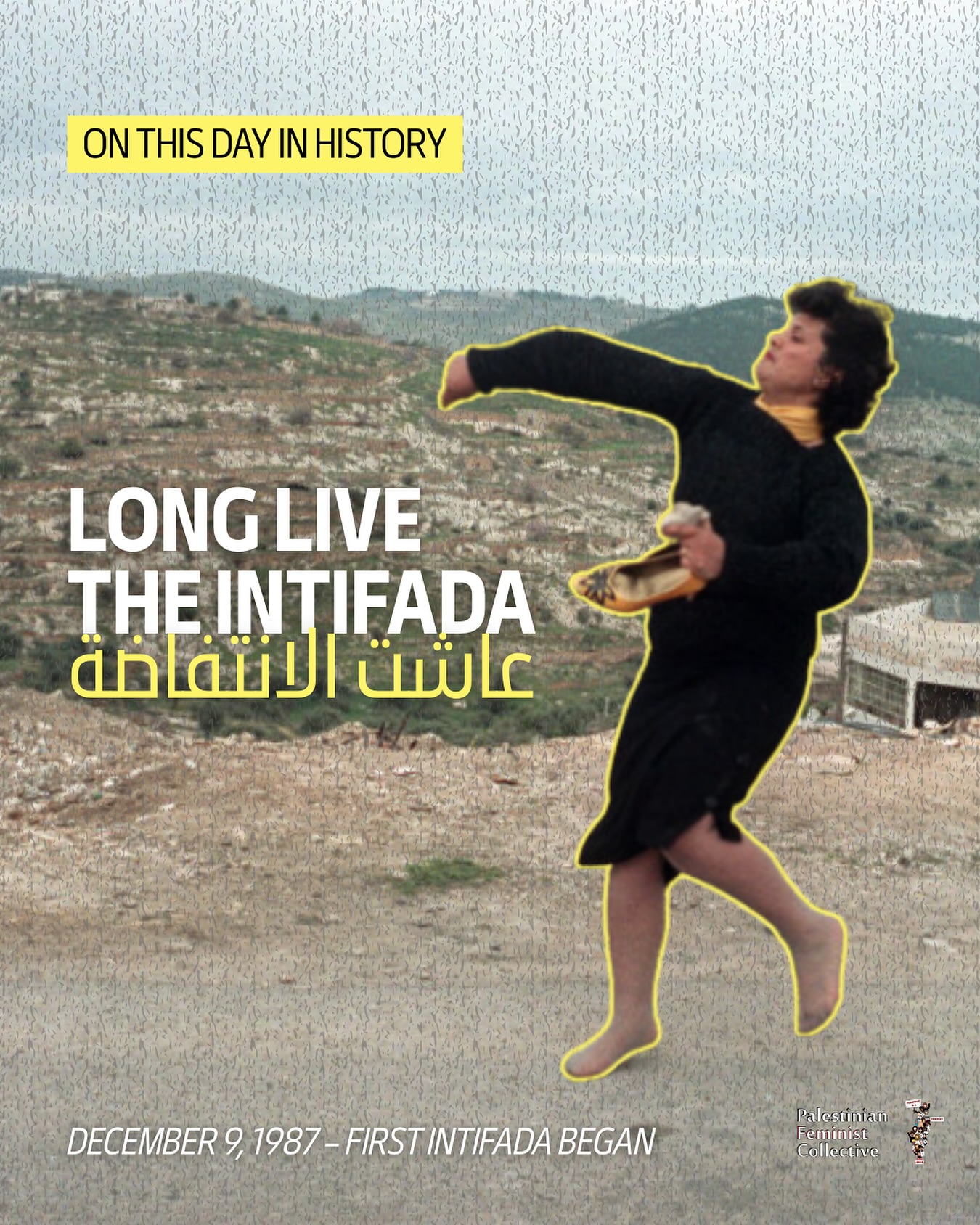 Palestinian - On December 9, 1987 the First Intifada, also referred to ...