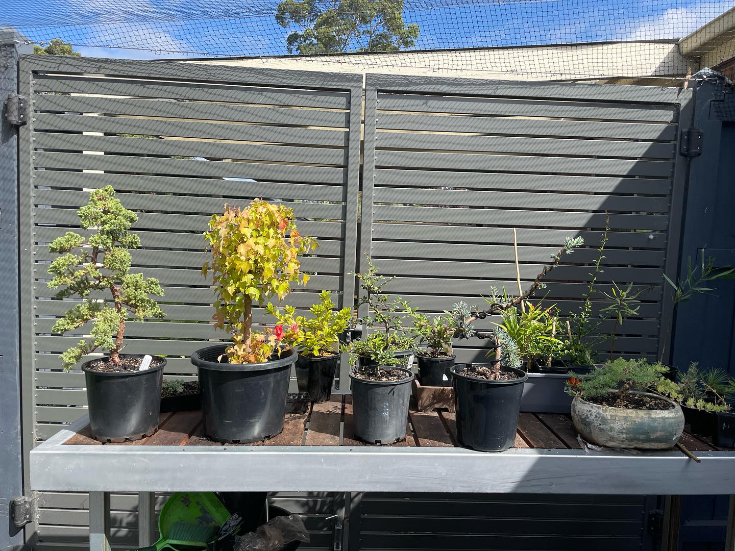 Checked Fencing | Melbourne VIC