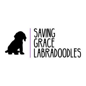 Saving Grace Australian Labradoodles on Reels