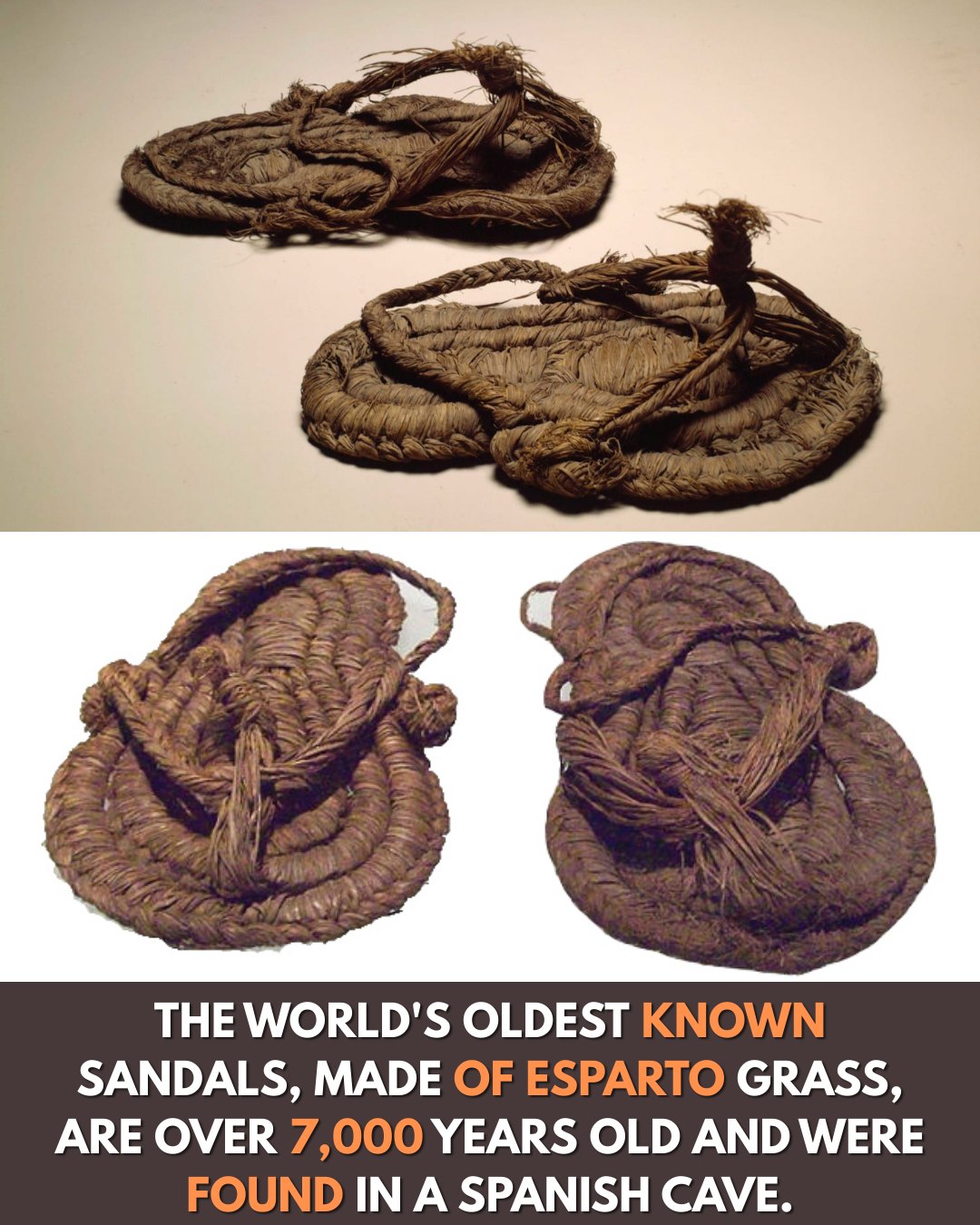 Hollywood’s - Over 7,000 years ago, early inhabitants of the Iberian ...