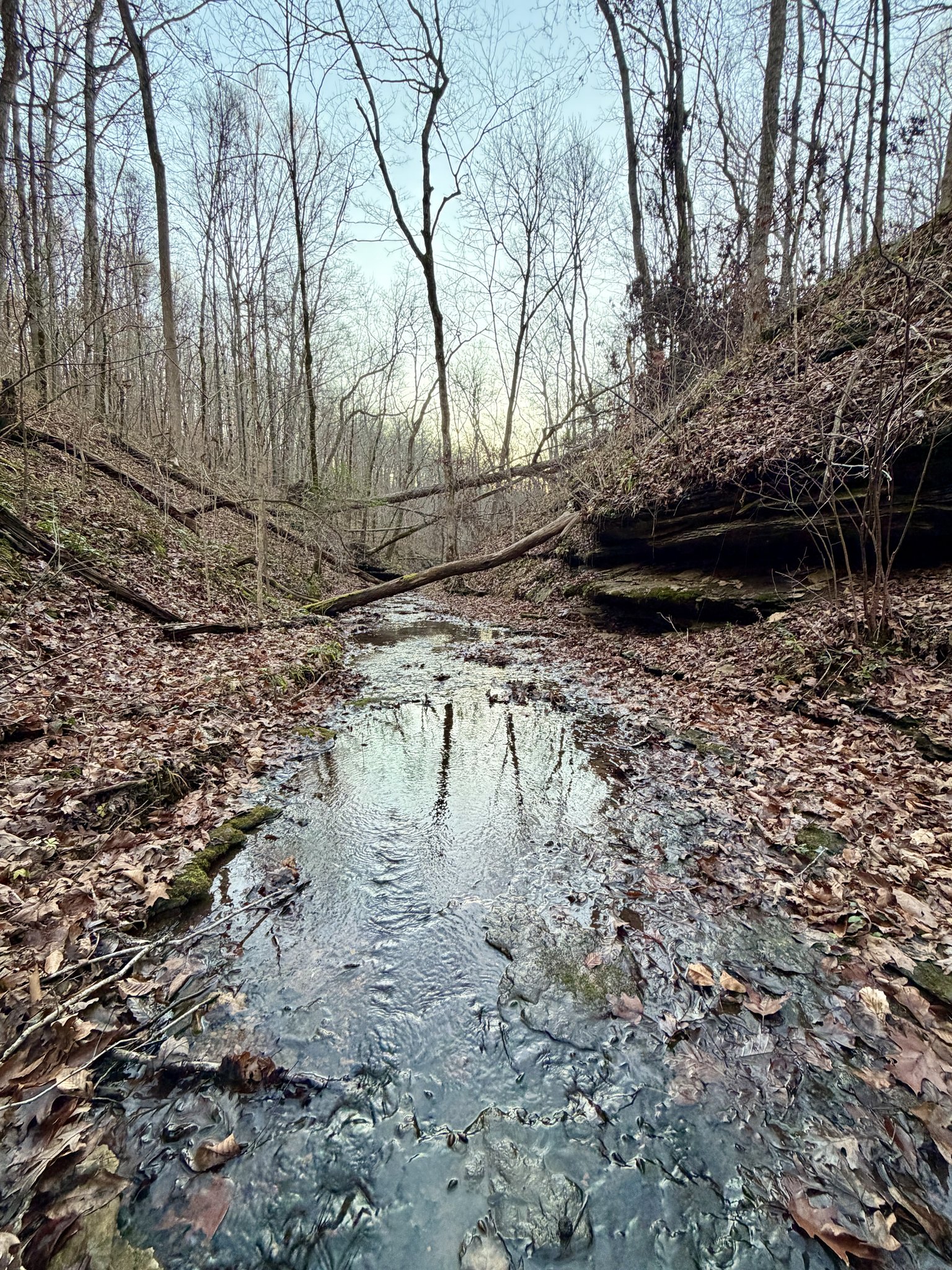 Waterfront Estate on 5 private acres - Ashland City, TN