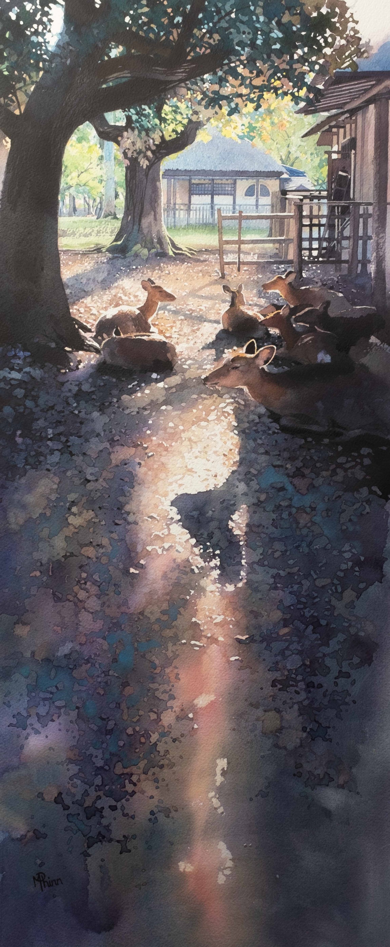 Moments in Watercolour マシュー・フィン水彩画展