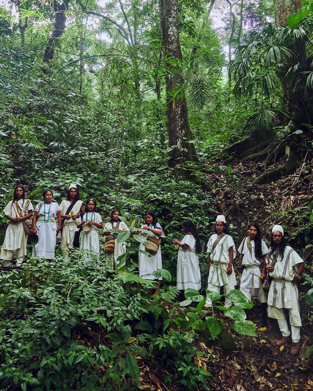 Rituals - Hoje é o Dia Internacional dos Povos Indígenas 🌍 Temos ...