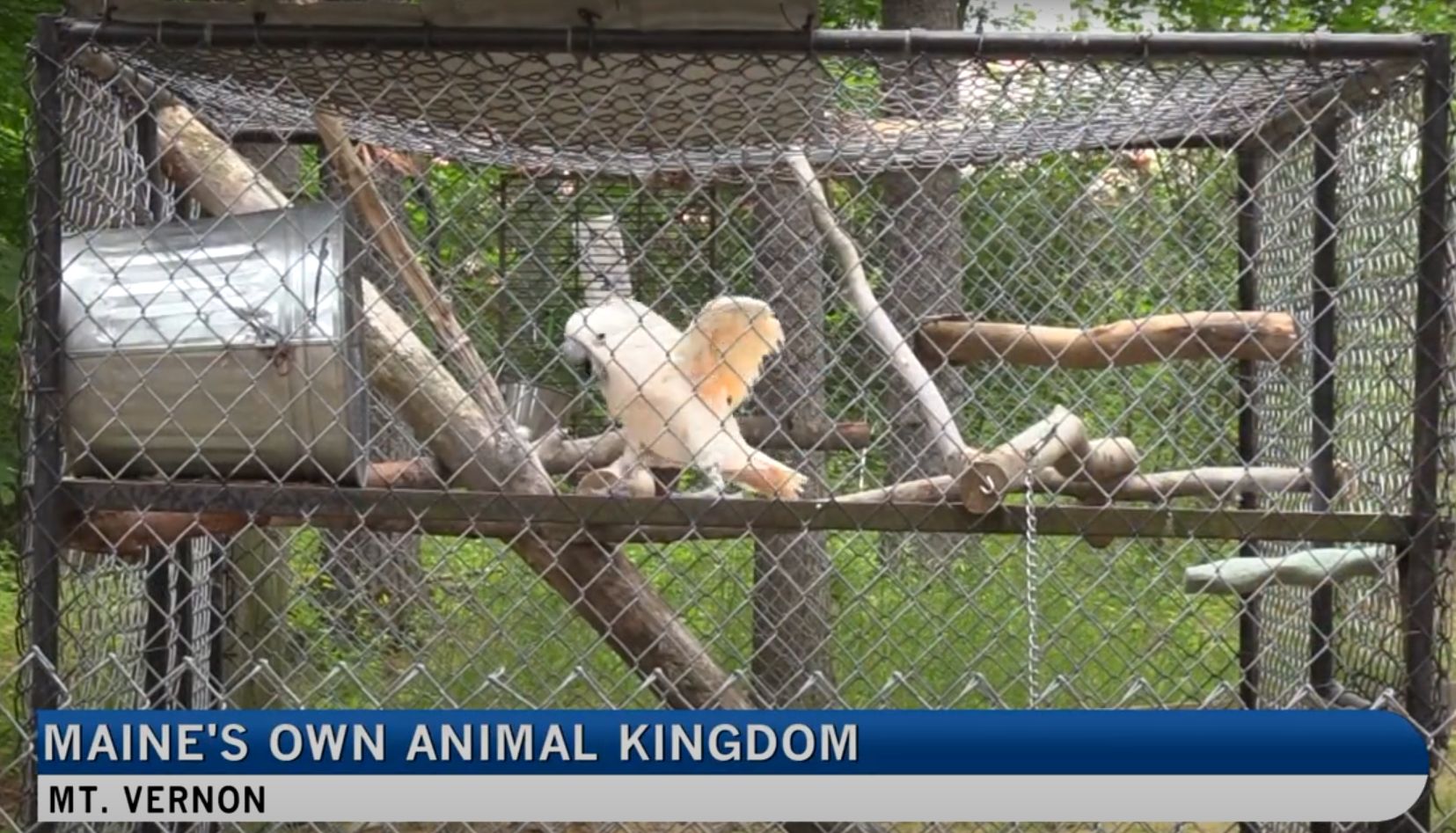 It is sad that the news would show... - Say NO to DEW Haven | Facebook