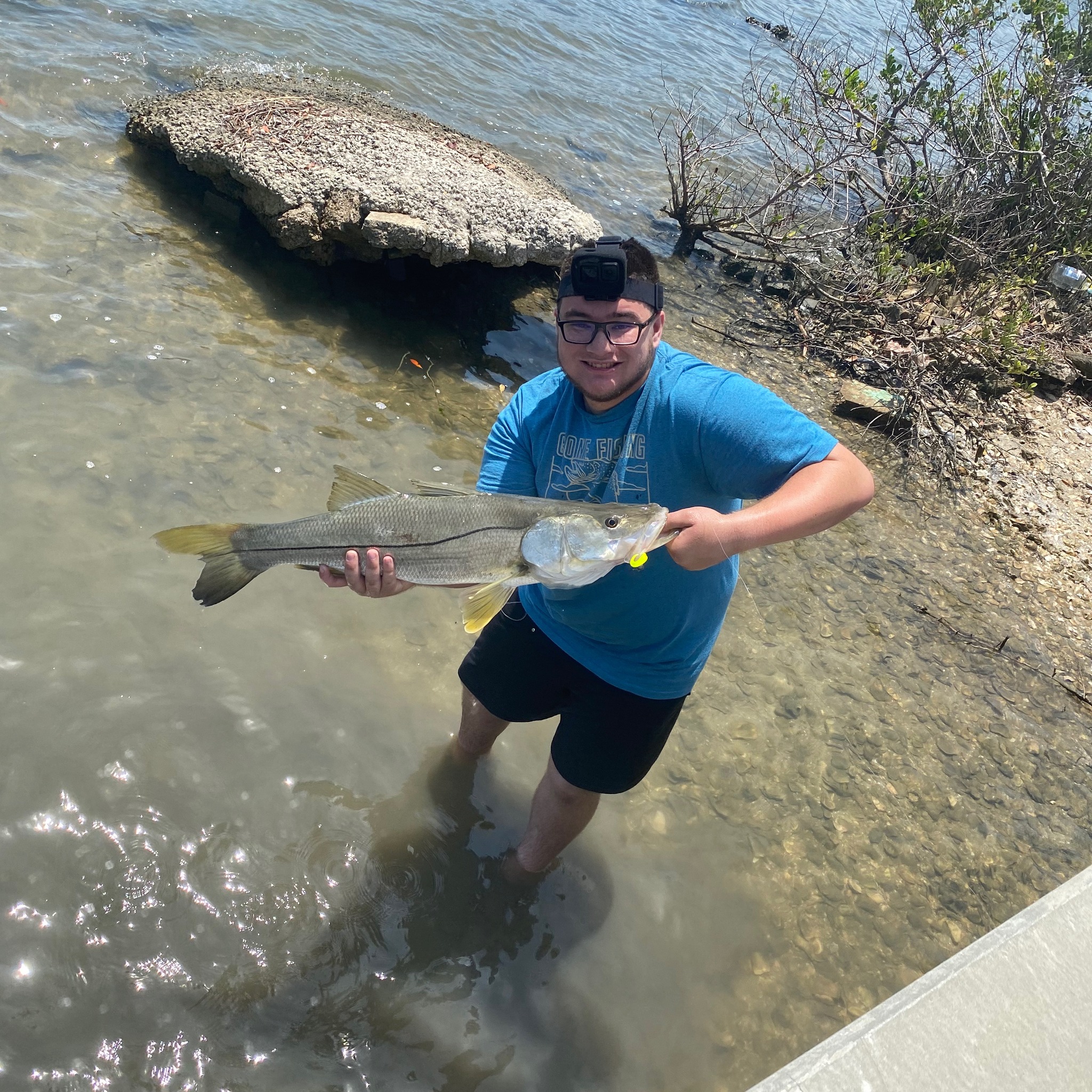 Taking nonsense #fish #fishing #lightning #fast #flopper | Roman Miller
