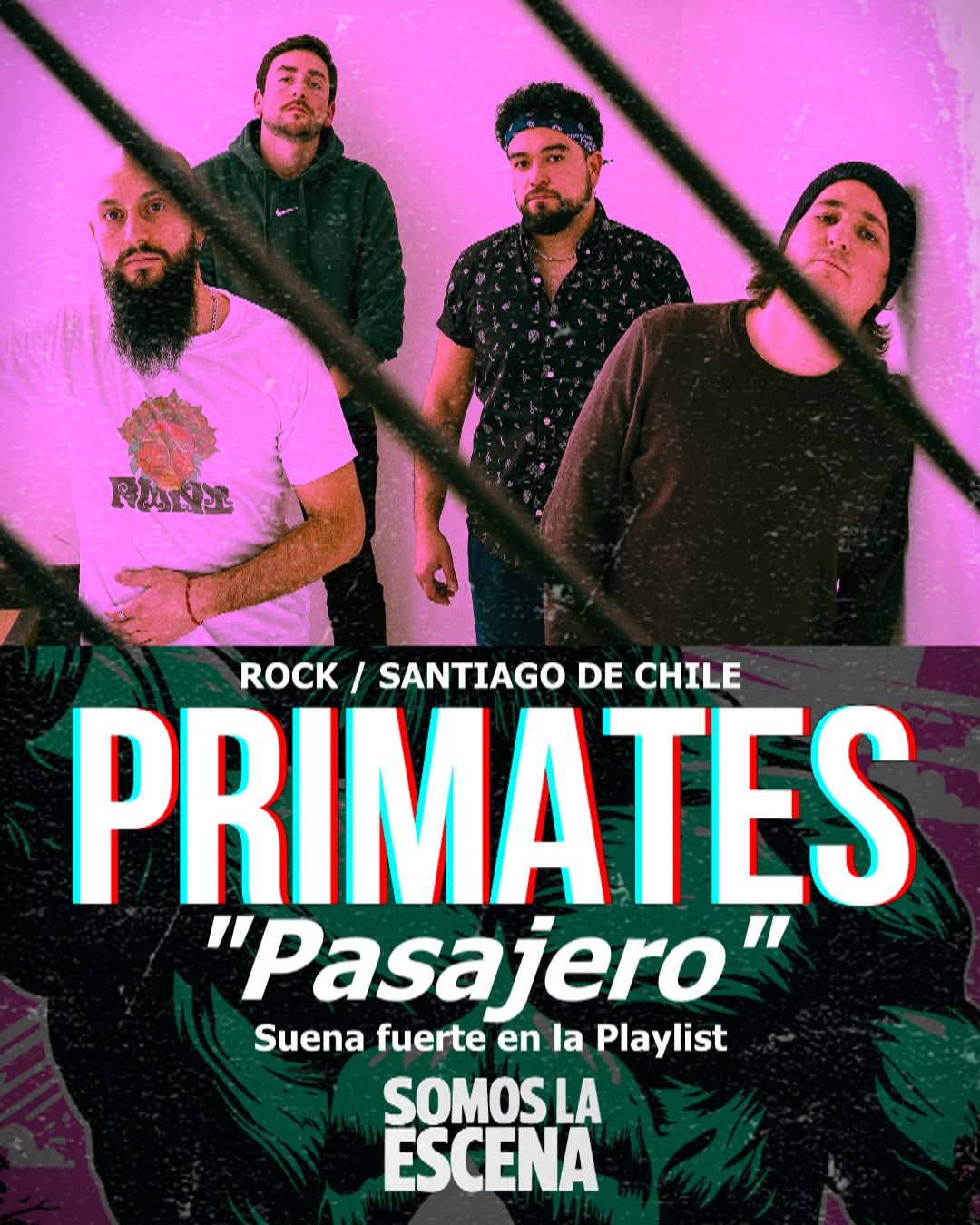 Nuevo Chile Musicos 3.0 | 🦍 PRIMATES [ primates.ok ] desde Santiago de ...