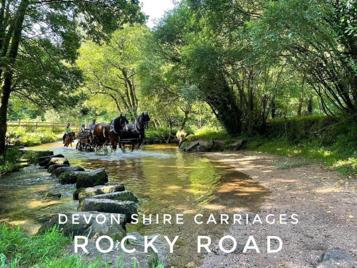 Devon Shire Carriages