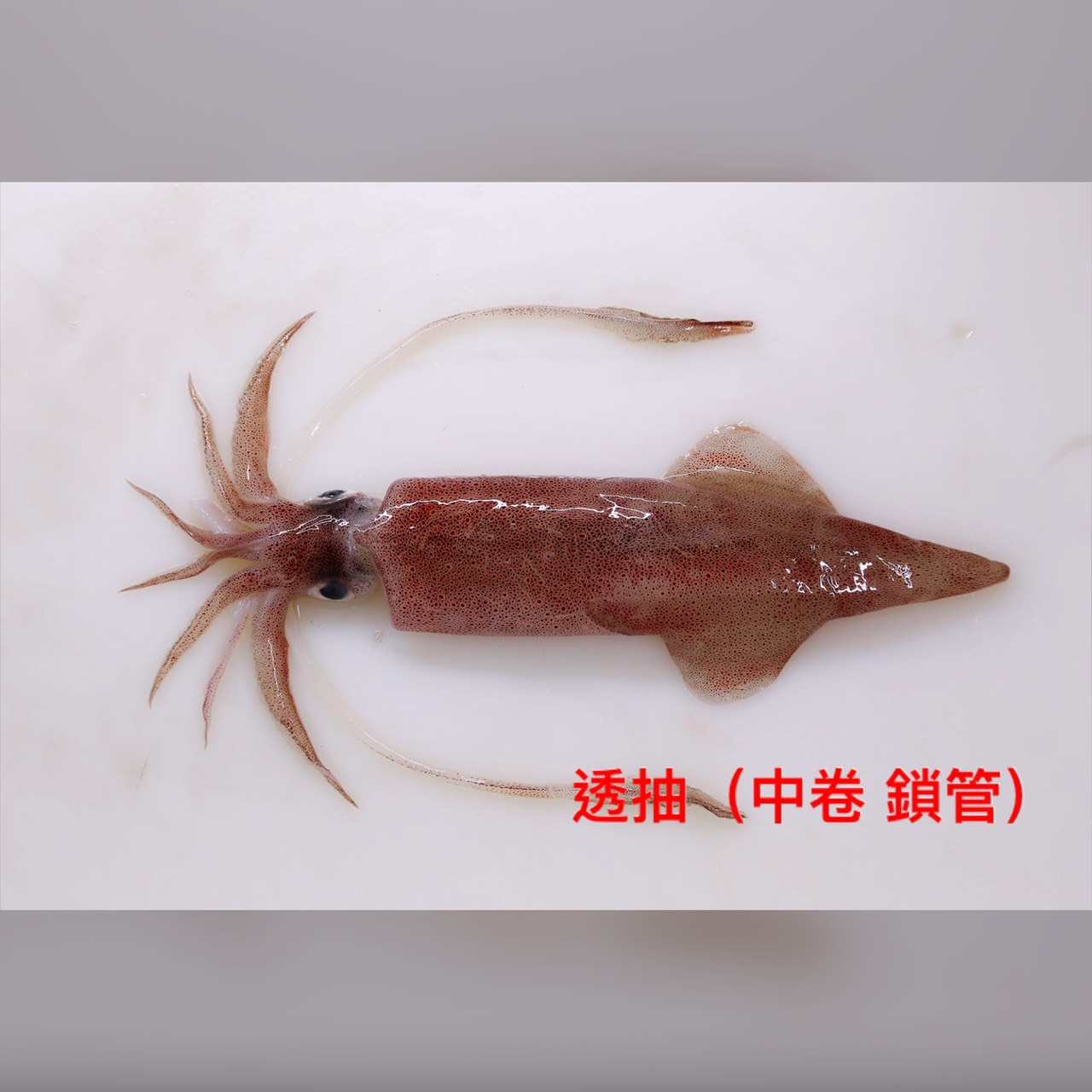 好味園地 - 台灣習慣將各種鎖管的幼體稱為「小管」或「小卷」，成體又被稱為「透抽」或「中卷」。透抽又稱真鎖管、中卷（中...