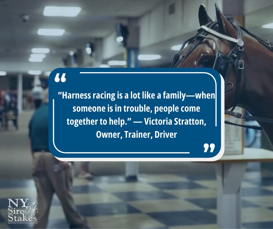 New - 💬 Industry Insights: “Harness racing is a lot like a family—when ...