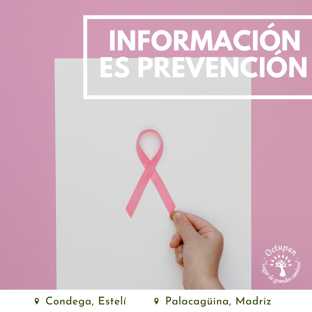 Octupan - Hablar de prevención es también hablar del acceso a la ...