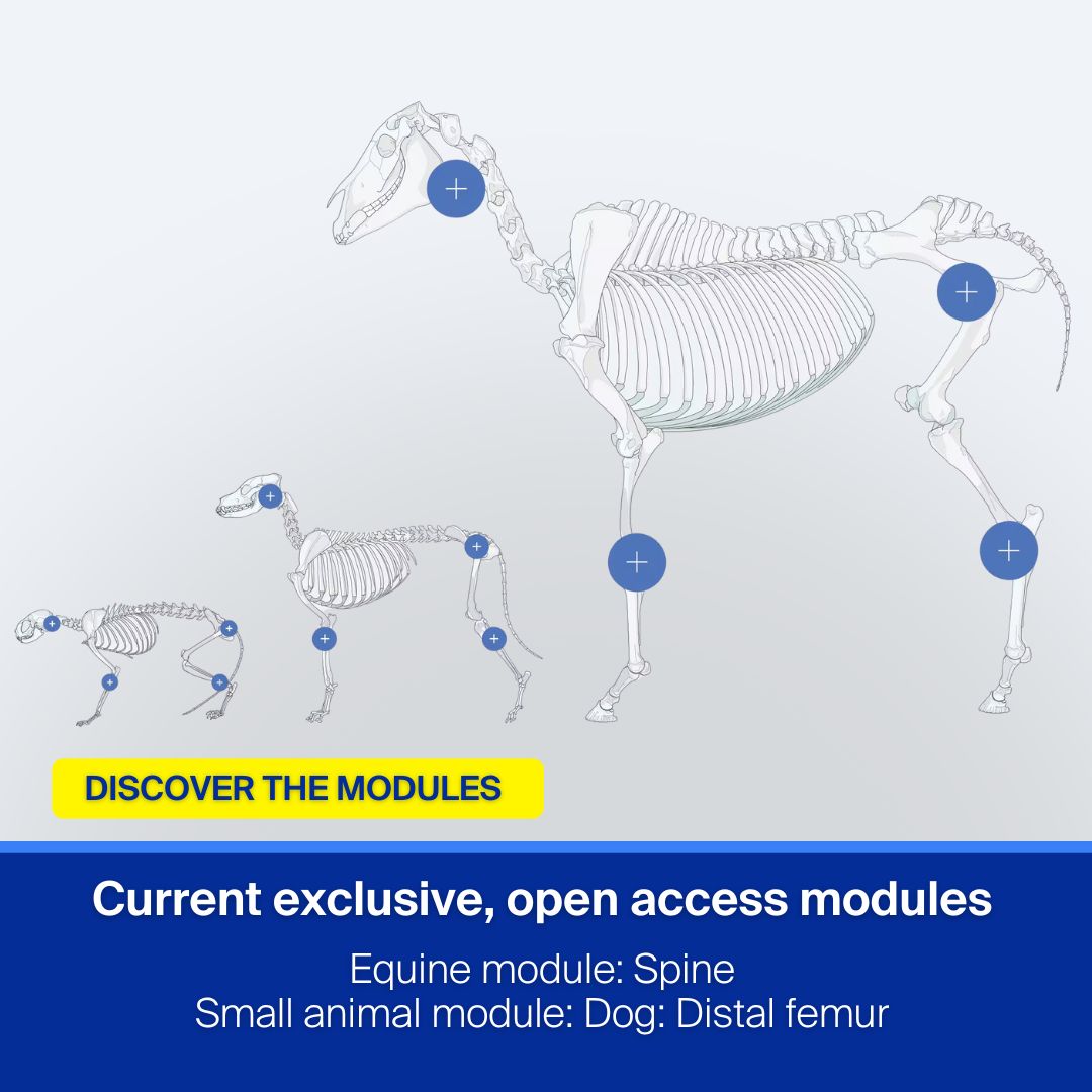 AO VET - 📢 AO Surgery Reference is granting free, open... | Facebook