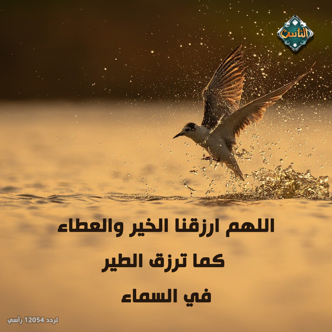 قناة الناس - حان الآن موعد أذان الفجر حسب التوقيت المحلي لمدينة القاهرة ...