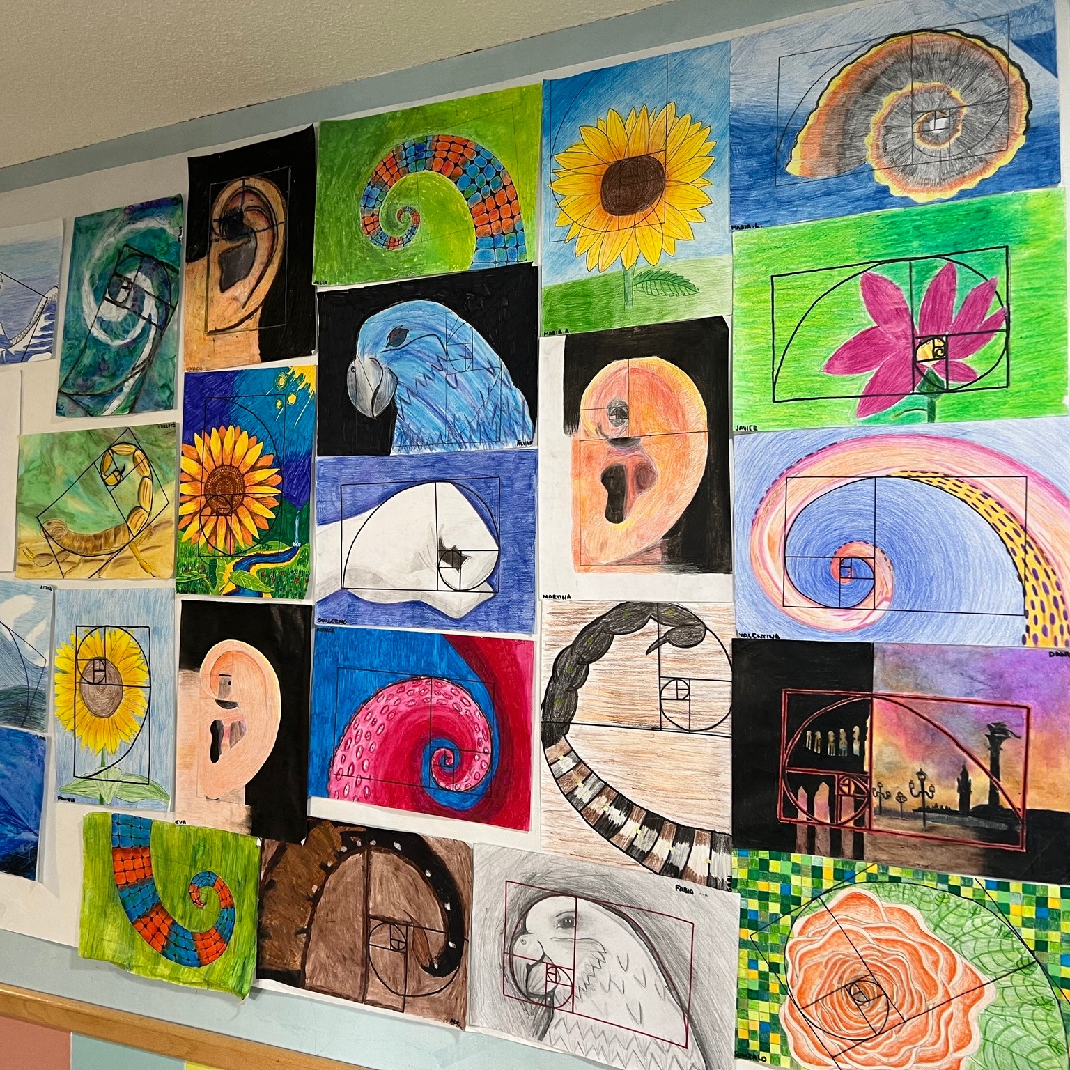 montessori-international-school-conde-de-orgaz-madrid