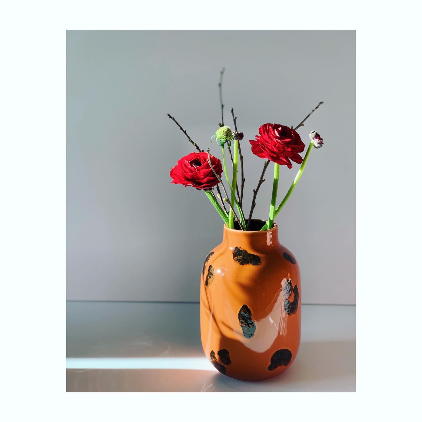 NUNO M LEO AMBER 🐆 . Seit gestern läuft unsere Vasenaktion! Ihr erhaltet bis 14.02. 30 % auf alle Vasen & Karaffen im Onlineshop (so lange der Vorrat reicht). . Schaut auch mal in unserer Story vorb