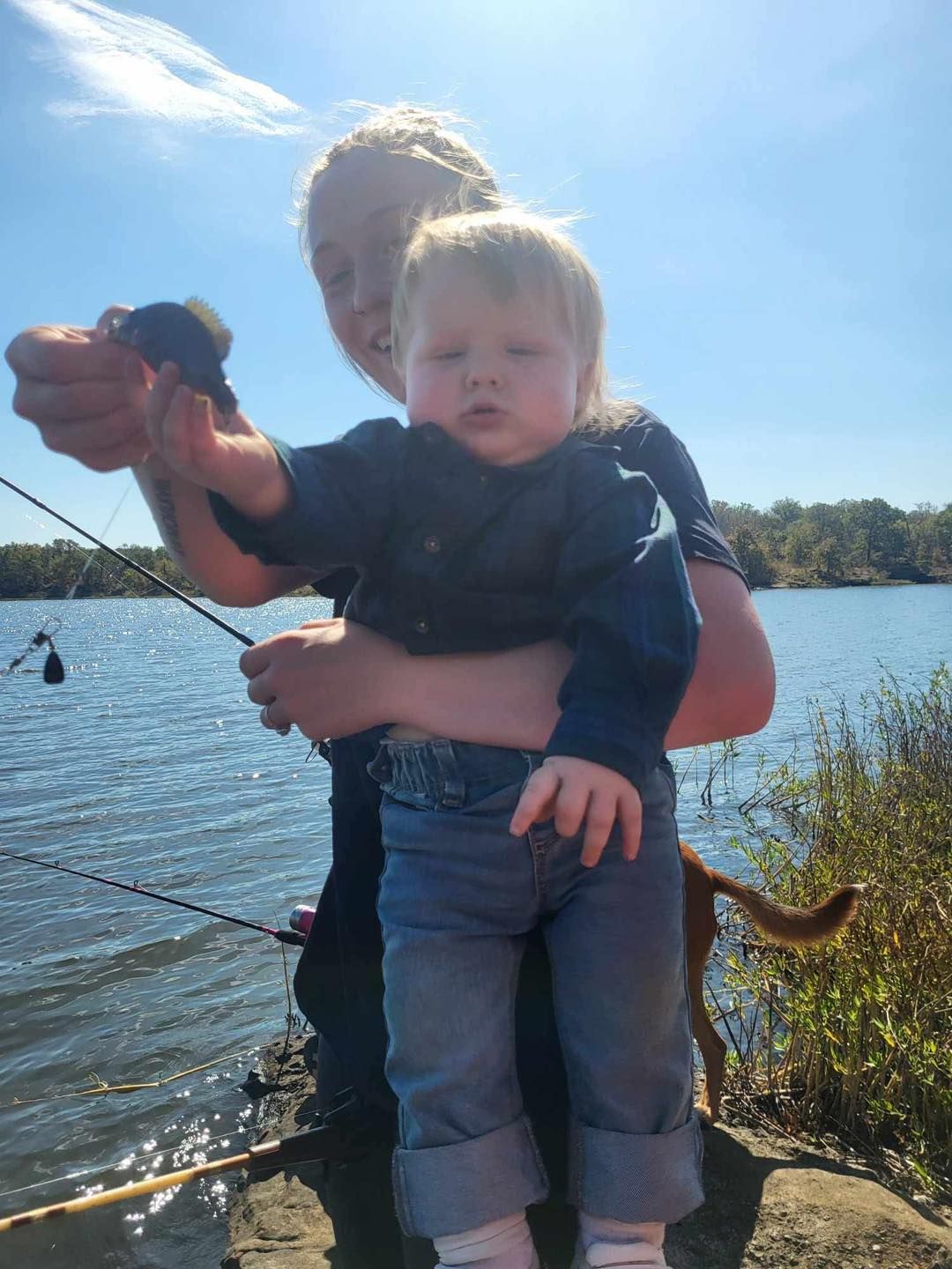 gander mountain myth spinning combo Abu Garcia Max SX Fast 1/4 Model:WRTHII5000802MH 6.4