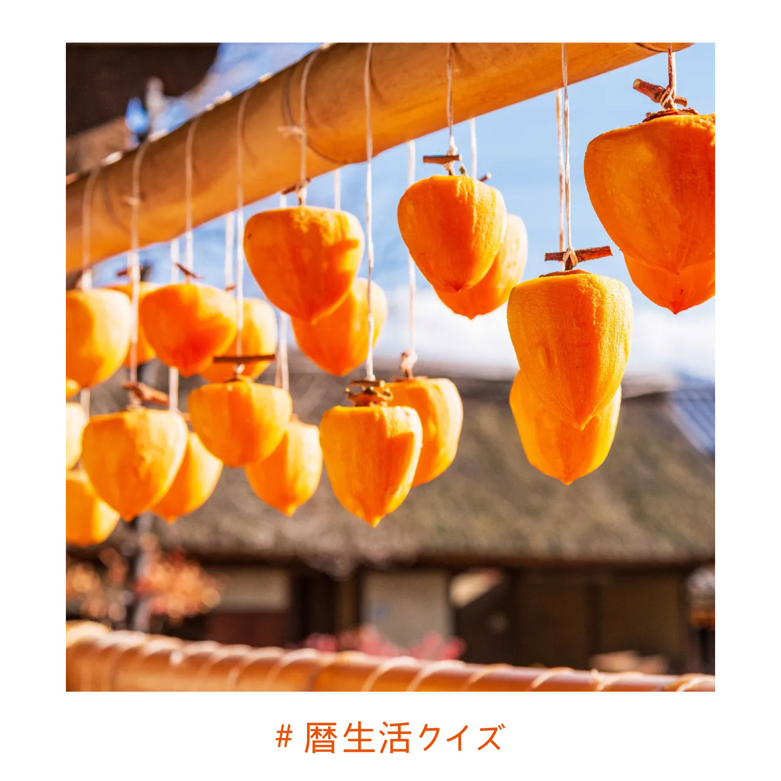 暦生活 - ちょっと暦に詳しくなれる#暦生活クイズ あたたかみのある色をした、ほっこりと甘く美味しい食べ物、干し柿。 そんな干し柿は、主に ...