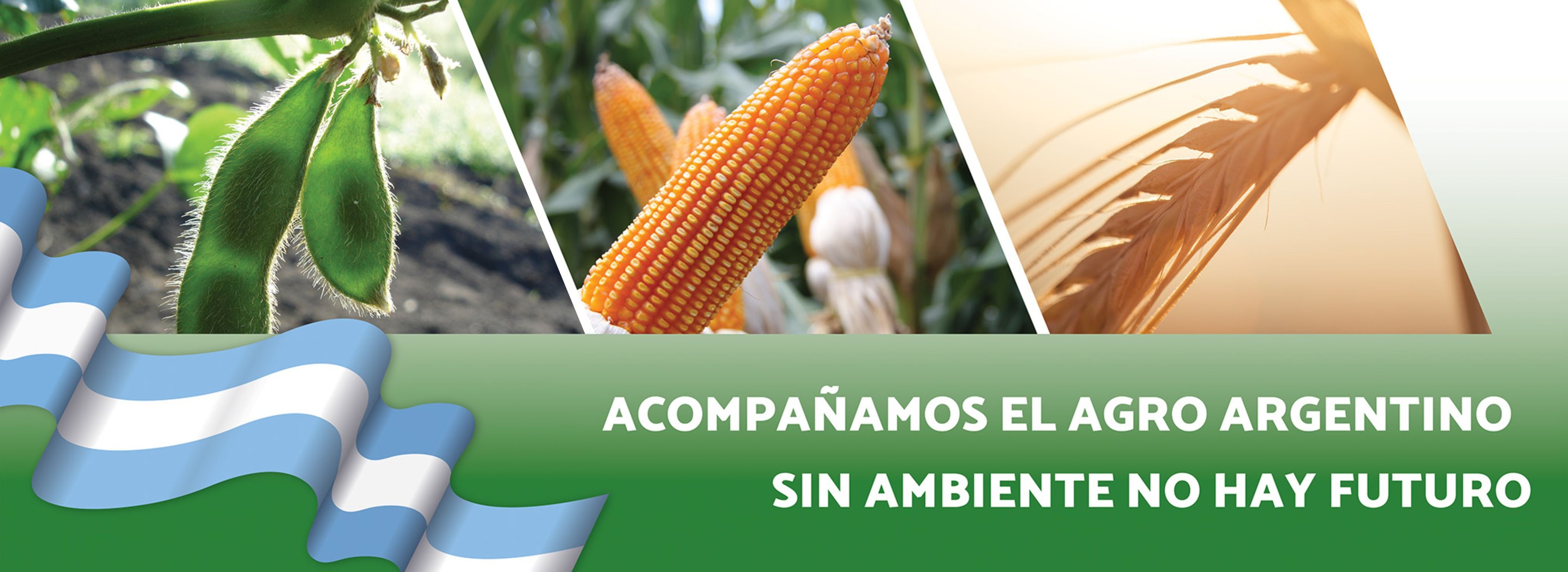 Agroinsumos Multifer Toruno SA