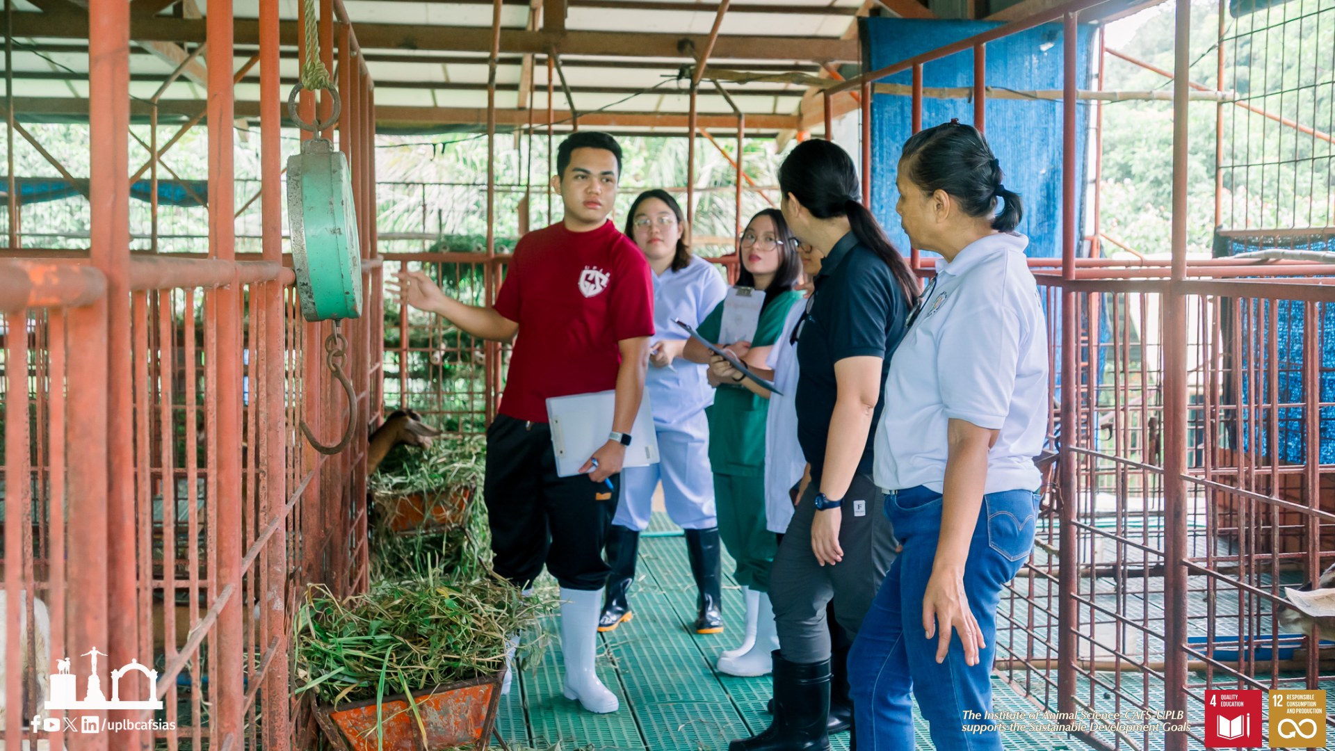 UPLB Institute of... - UPLB Institute of Animal Science