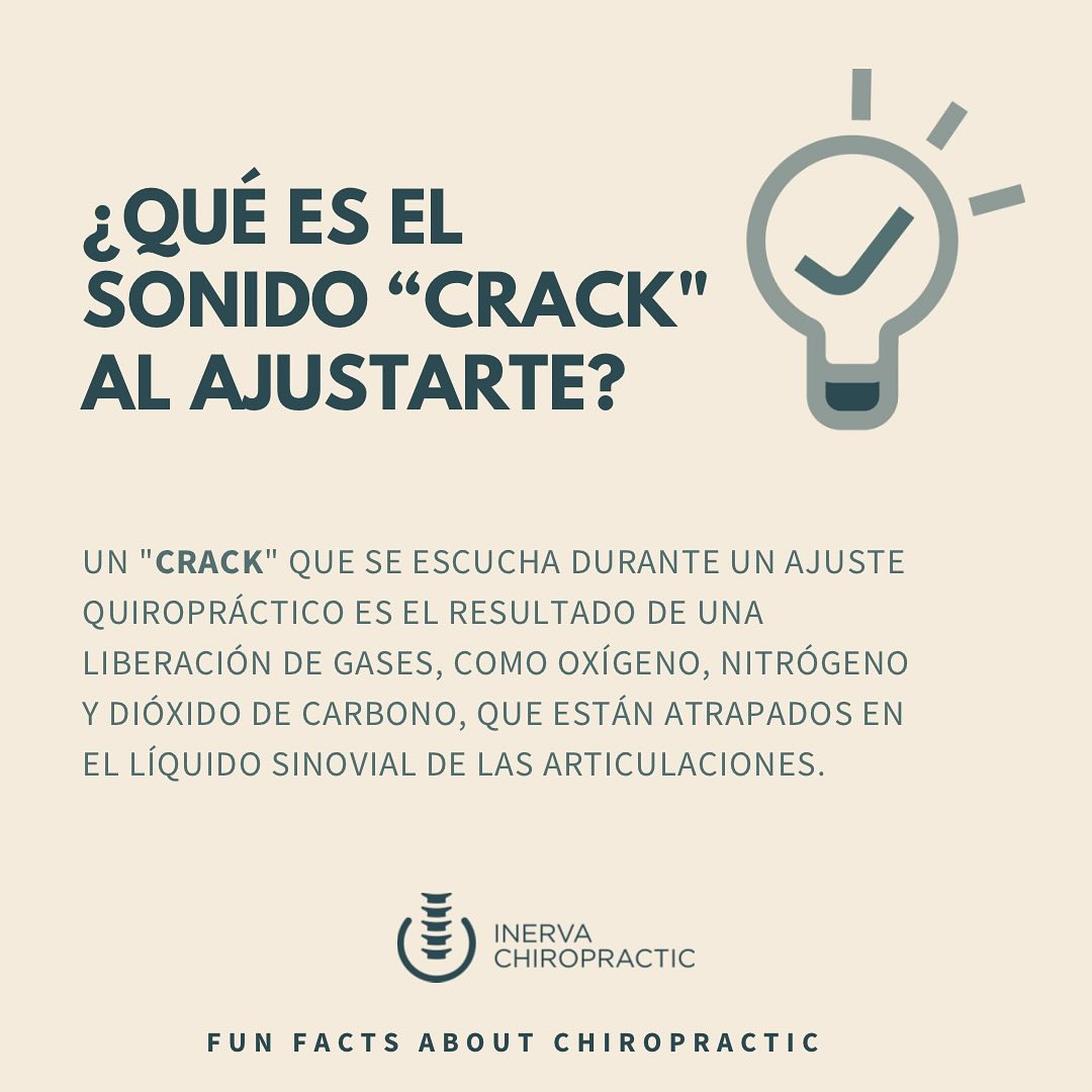 Inerva - ¡Descubre las curiosidades, mitos y realidades de la ...