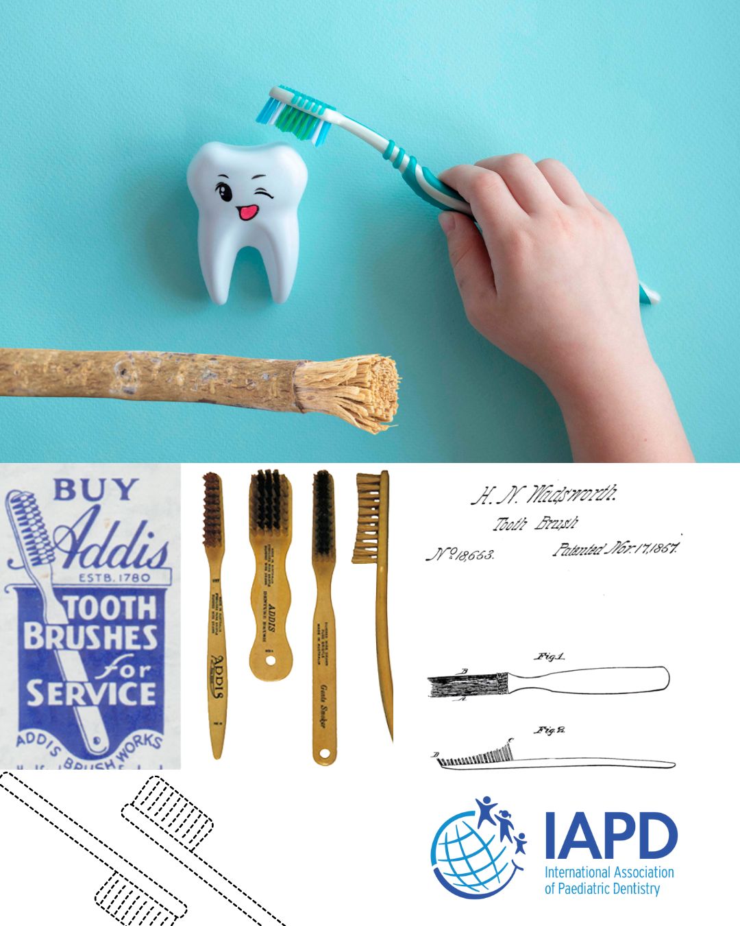 Australian Society of Special Care in Dentistry Inc. Asscid