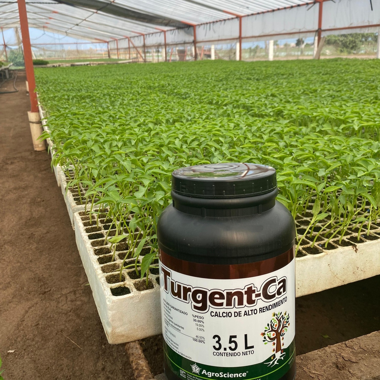 AgroScience - AgroScience added a new photo.