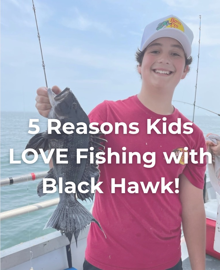 black hawk fishing reels BearKing Reel Experience precision with Maxxon Flys HAWK Reel Ecooda Black Hawk Spinning Reel