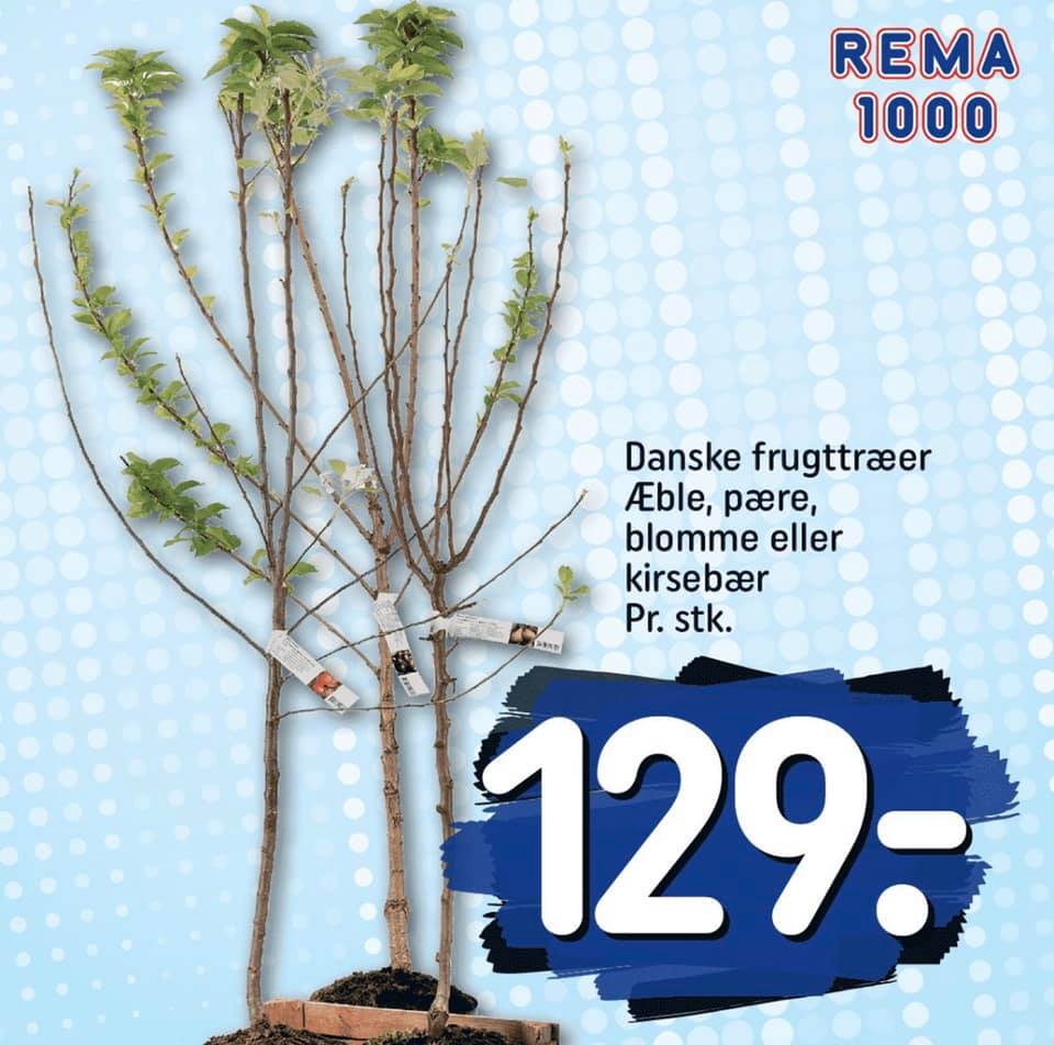 REMA 1000 Risskov Brassøvej... - REMA 1000 Risskov Brassøvej