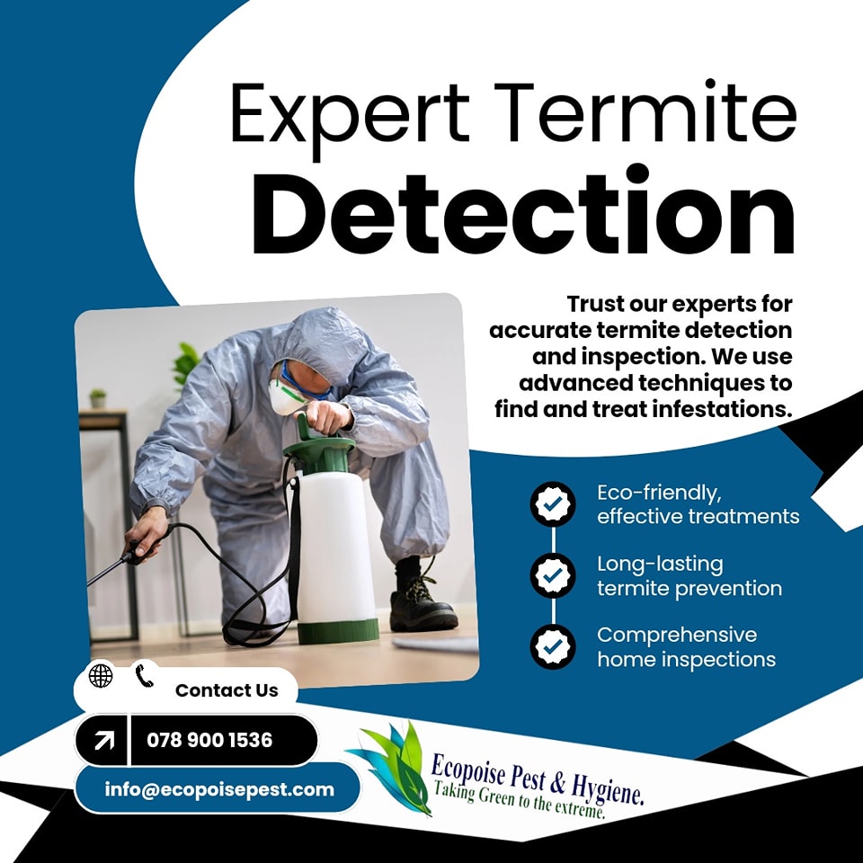 Proudly - 🛠️ TERMITE DAMAGE IS SILENT – UNTIL IT'S SEVERE. By the time ...