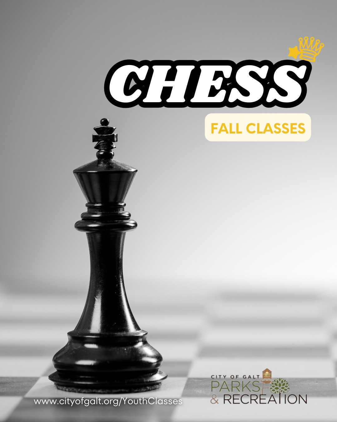 City - Checkmate! Fall Chess Classes Are Here! Our Parks & Rec ...
