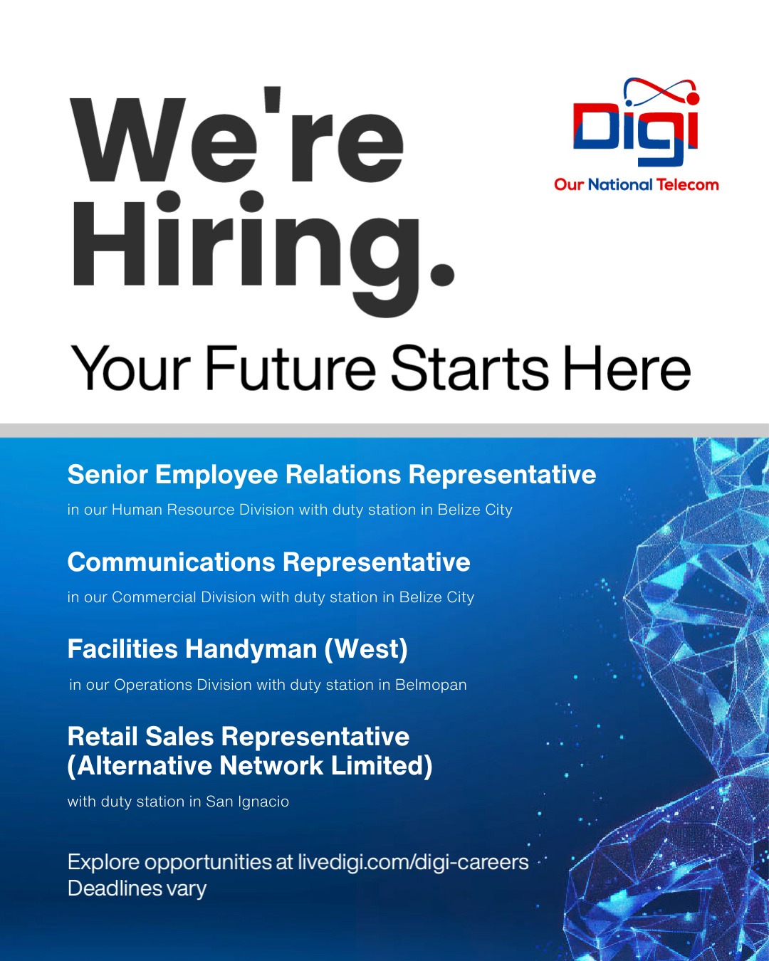 Digi - Team Digi is Hiring — Your Future Starts Here! Explore ...