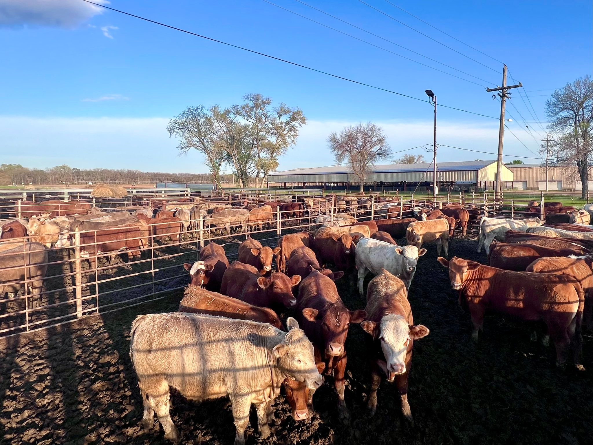 River Ridge Ranch | Arlington NE