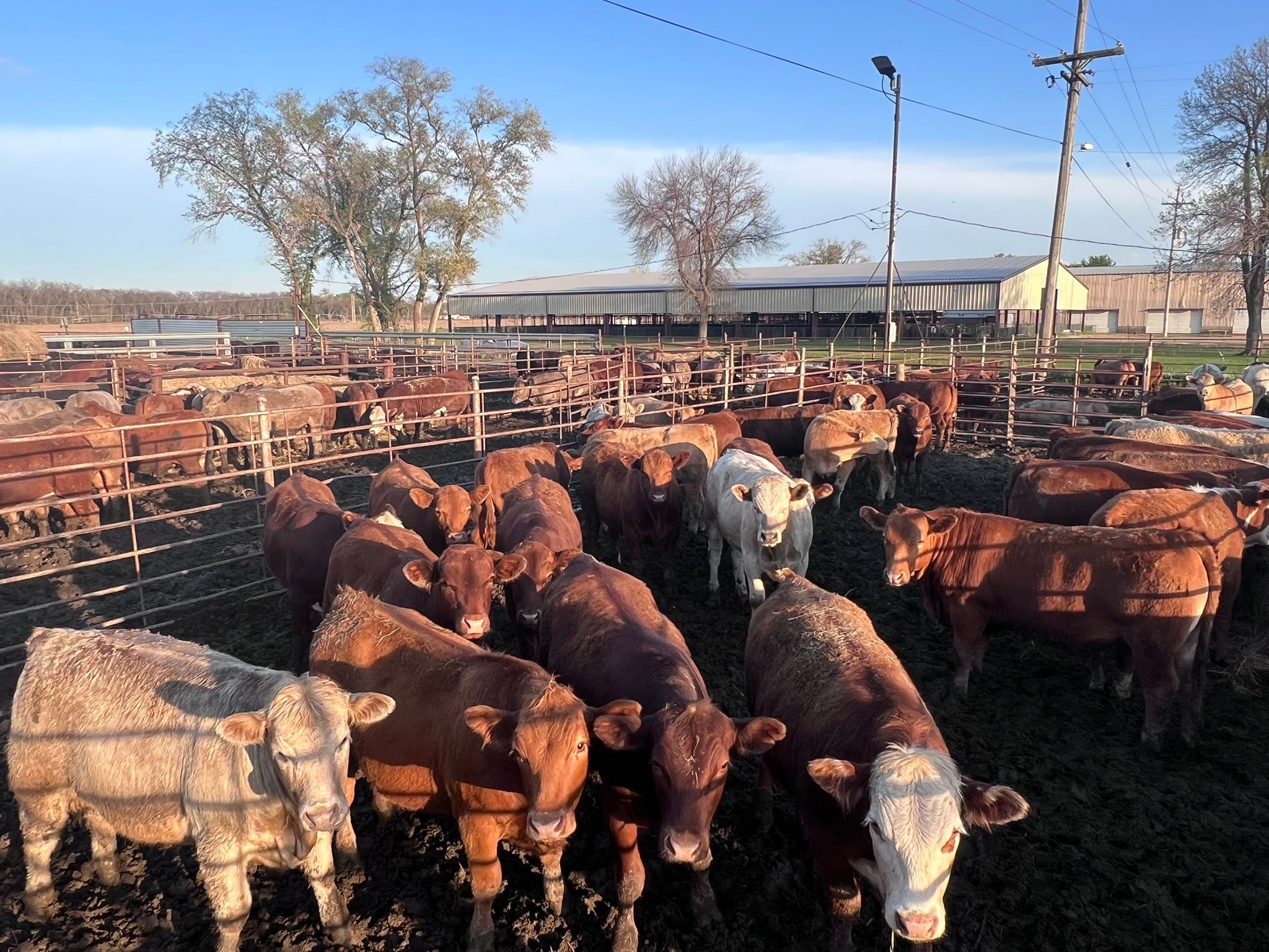 River Ridge Ranch | Arlington NE