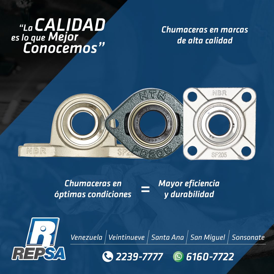 REPSA - Chumaceras en óptimas condiciones = Mayor eficiencia y ...