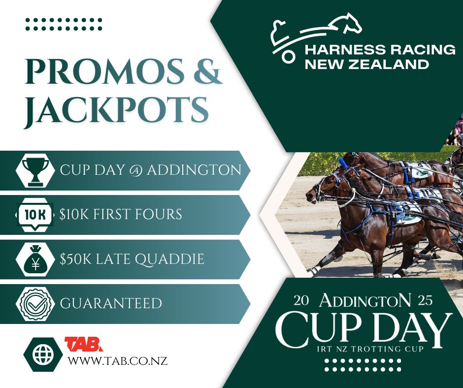 🚀 Addington is OUT THE GATE... - Harness Racing New Zealand | Facebook