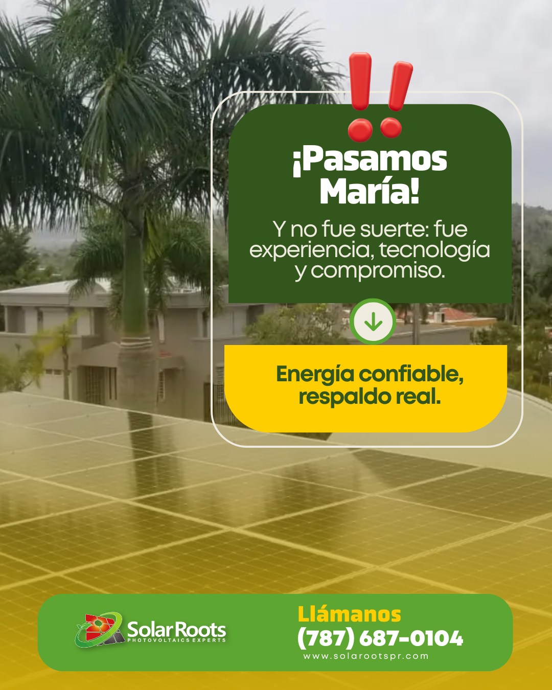 🎄 En Puerto Rico ya lo hemos vivido... - Solar Roots, LLC | Facebook