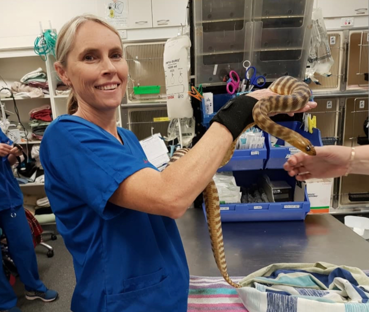 Fresh Look at Animal As The Weather Warms Up Snakes Become More Active