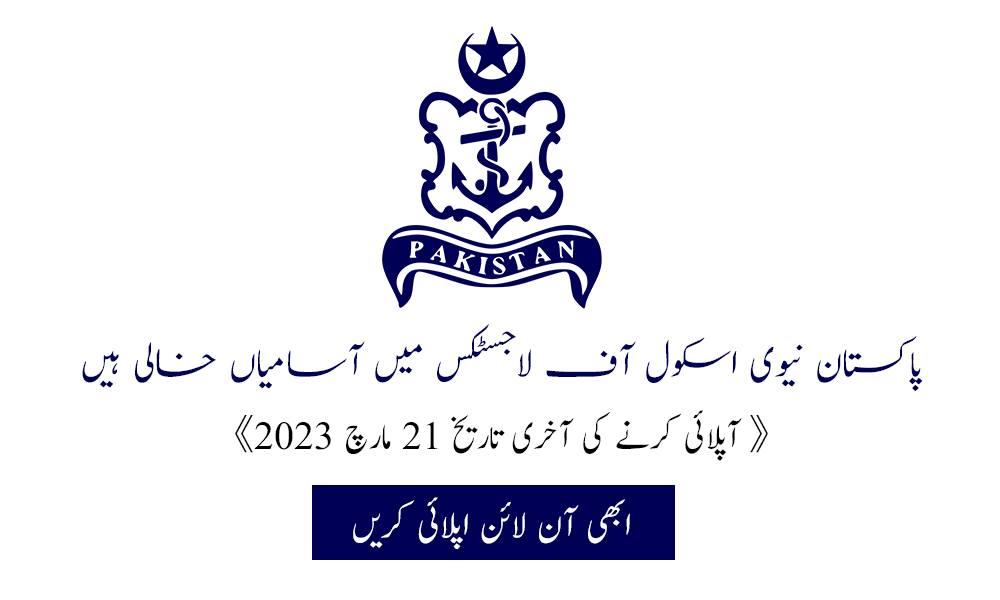 The Pakistani Jobs | Allu Multan