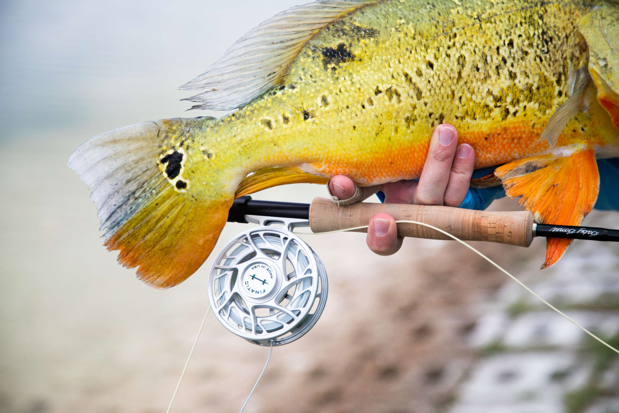 Some fish are meant to blend in.... - Trident Fly Fishing | Facebook