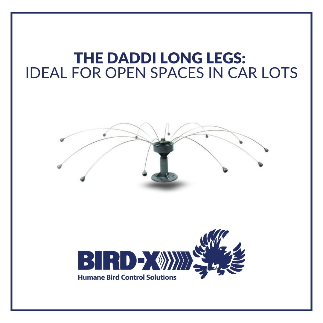 Bird-X - Need bird control without sacrificing aesthetics? The Daddi ...
