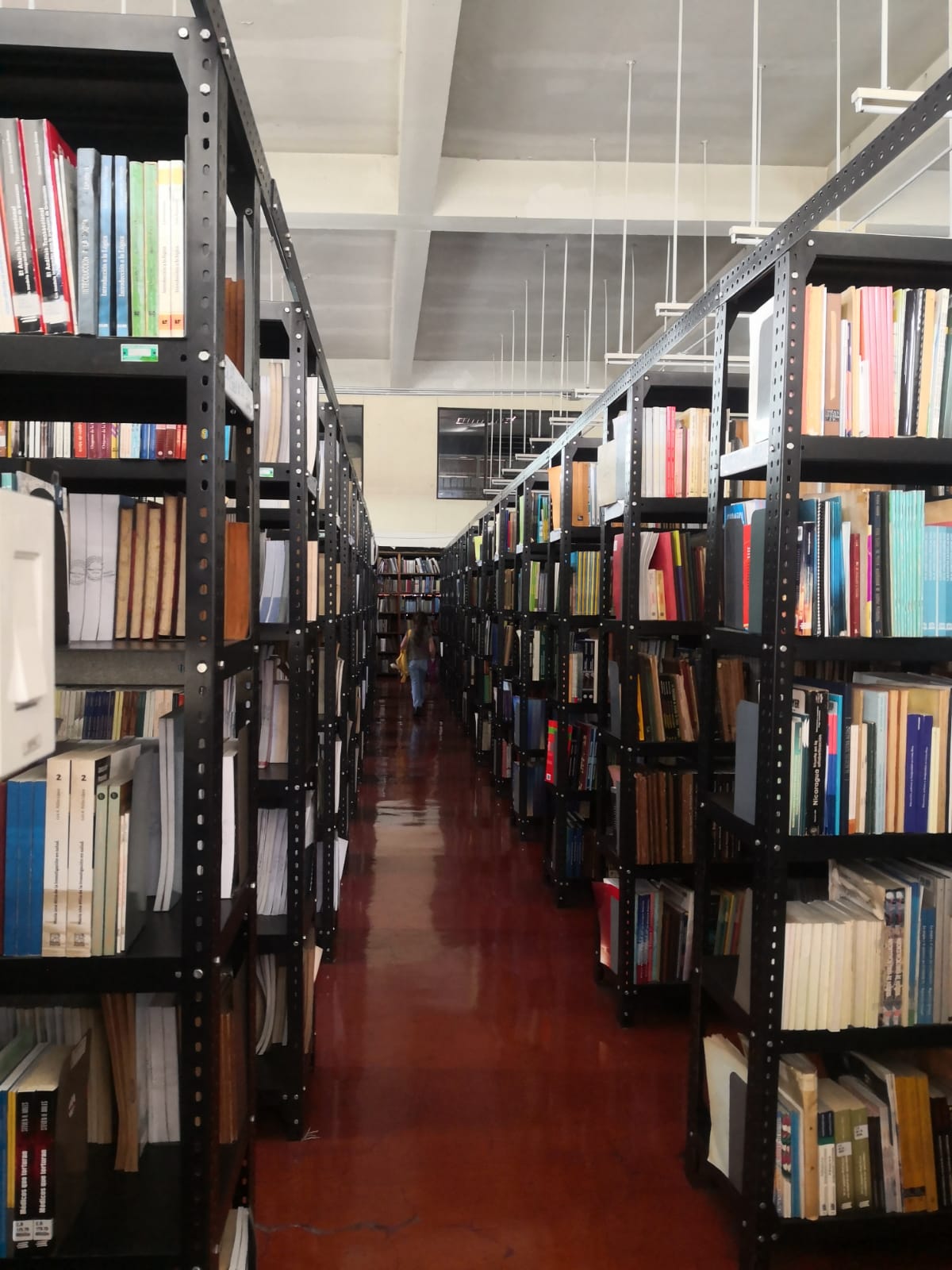 Biblioteca Pública de... - Biblioteca Pública de Tres Ríos