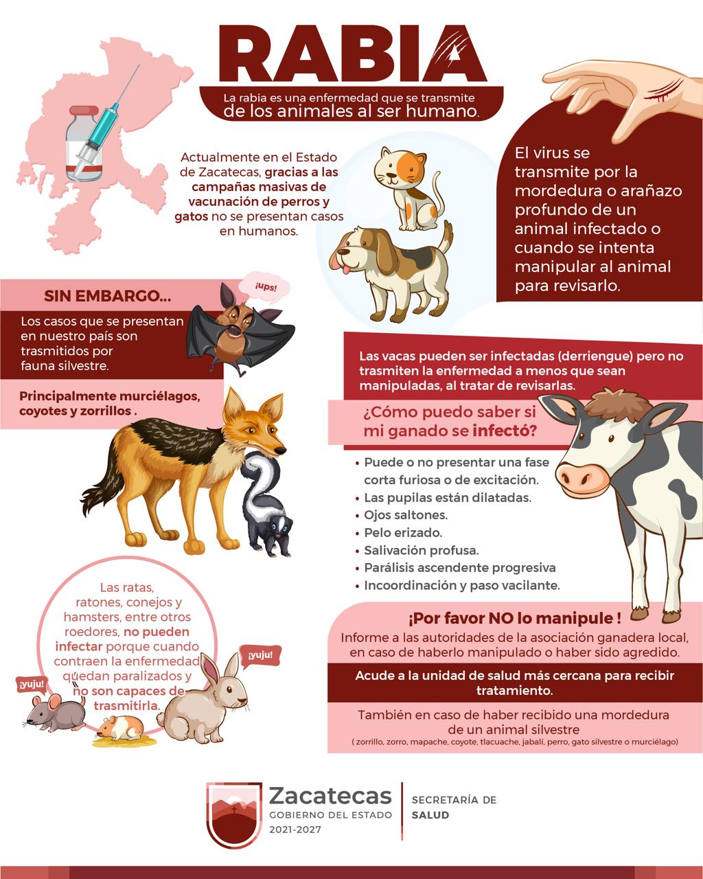 Gobierno - ⚠️🐾I La rabia es una enfermedad viral que afecta el sistema ...