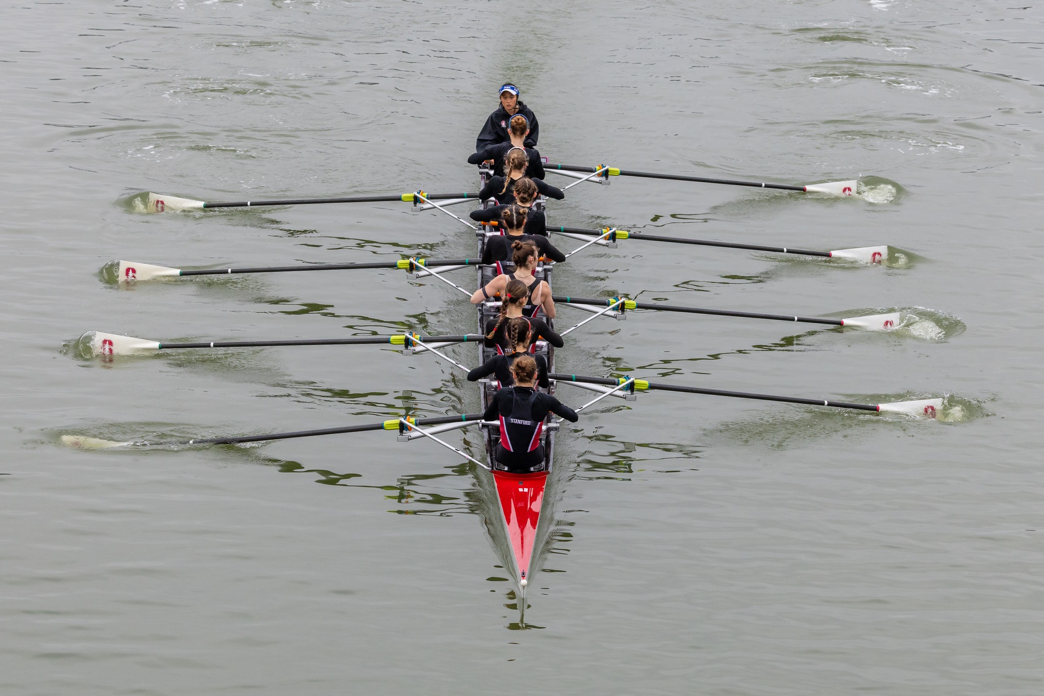 Stanford Lightweight Rowing