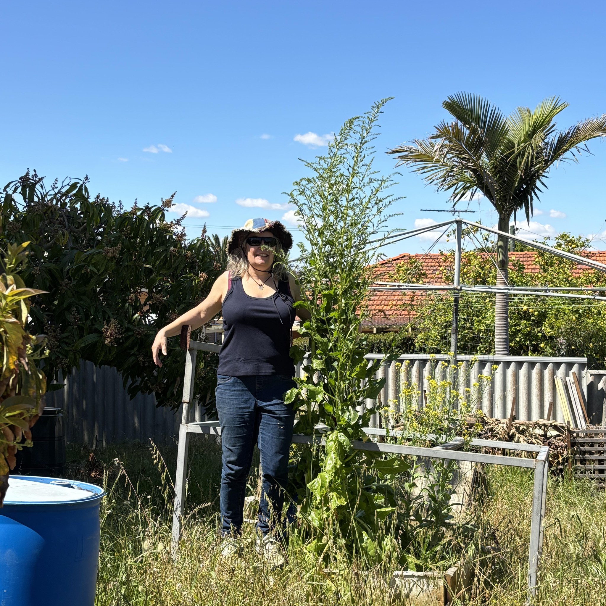 Composting, just composting | Has anyone put these palm tree skins in ...
