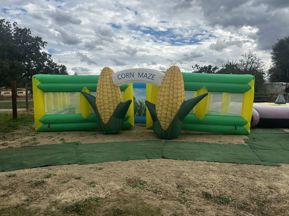 Rickey Ranch Pumpkin Patch | Granite Bay CA